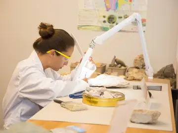 Imagen de archivo de una mujer científica trabajando. Imagen de archivo de una mujer científica trabajando.