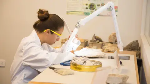 Imagen de archivo de una mujer científica trabajando. Imagen de archivo de una mujer científica trabajando.