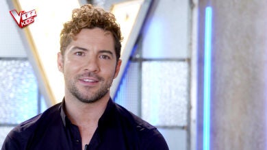 David Bisbal: 