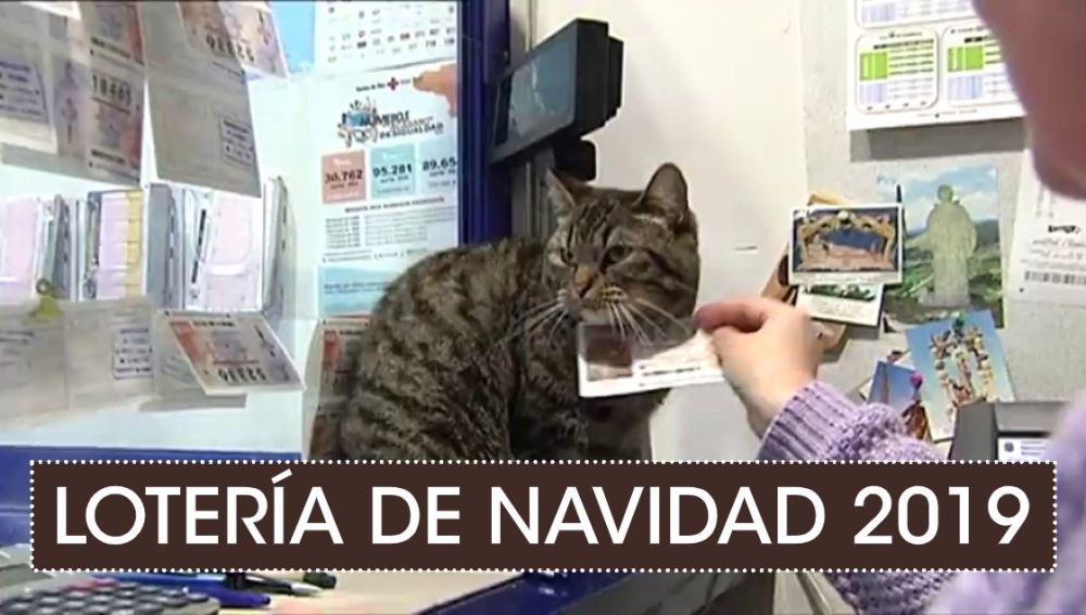 Lotería de Navidad 2019: Las supersticiones más curiosas del Sorteo de Navidad