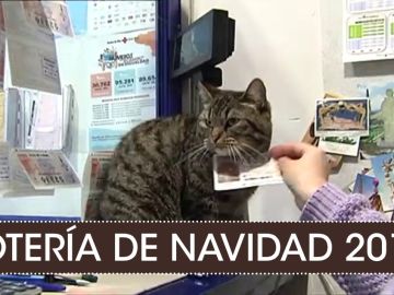 Lotería de Navidad 2019: Las supersticiones más curiosas del Sorteo de Navidad