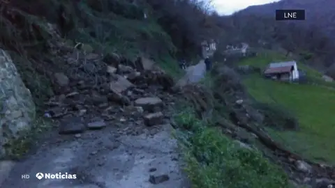 ELSA ASTURIAS ELSA ASTURIAS