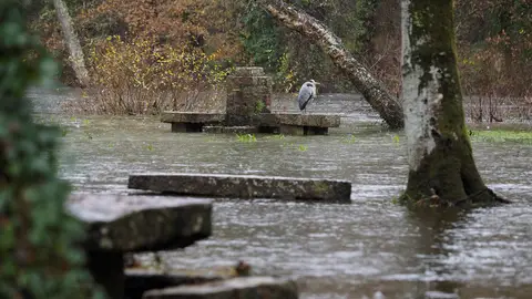 Área recreativa anegada por el agua en Asturias. Área recreativa anegada por el agua en Asturias.
