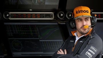 Fernando Alonso, durante un Gran Premio