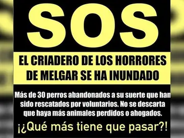 Alerta de la Asociación de animales Alerta de la Asociación de animales