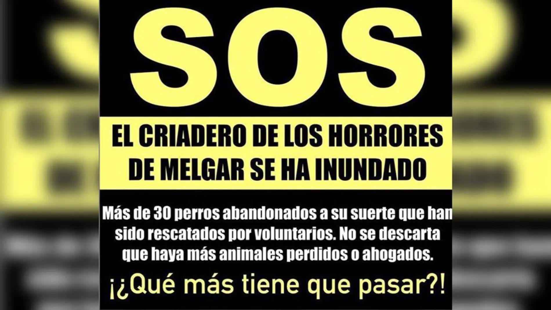Alerta de la Asociación de animales Alerta de la Asociación de animales