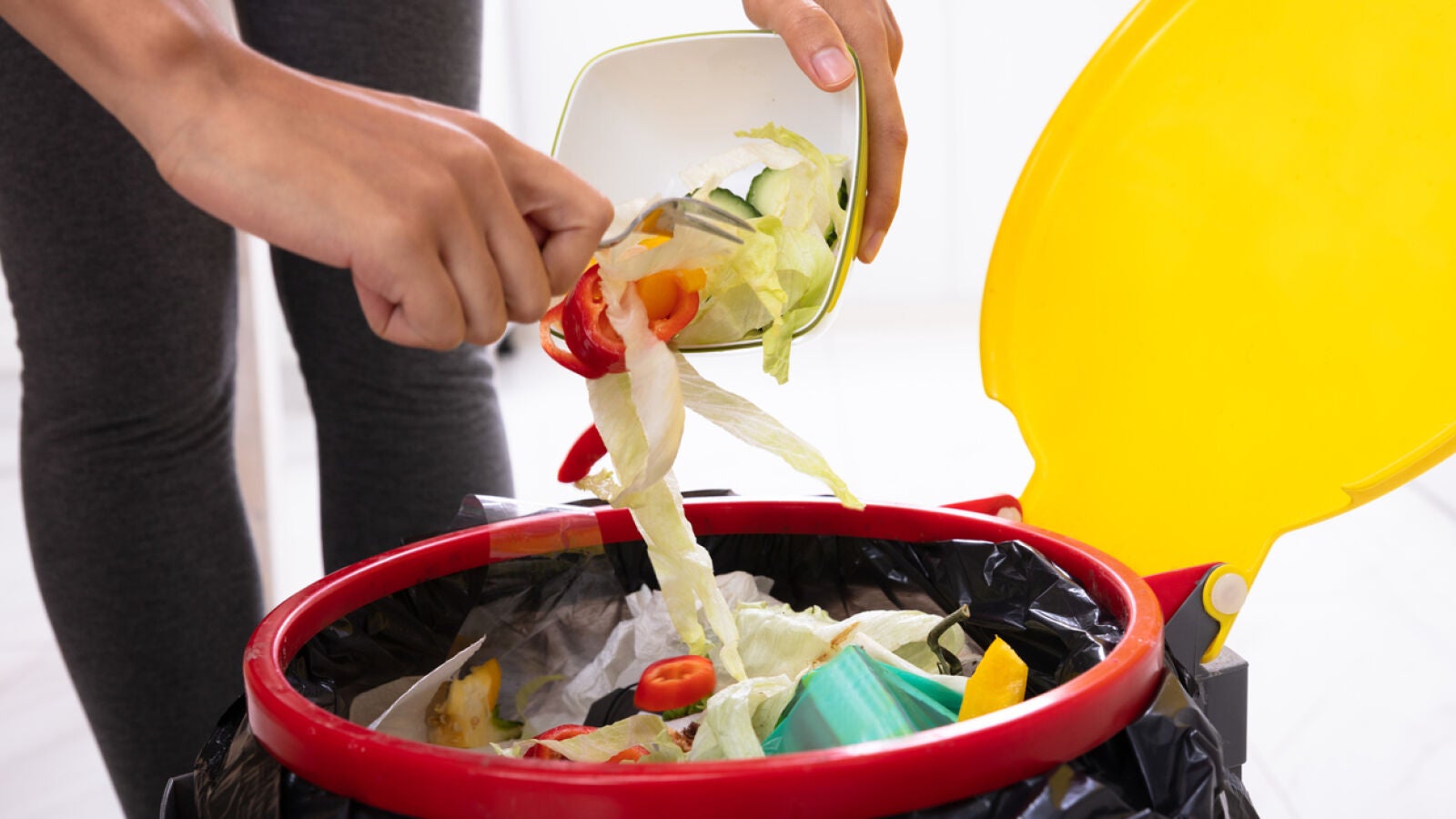 Cuatro apps para evitar el desperdicio de alimentos
