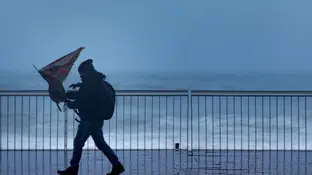 Imagen de archivo: un hombre pasea con un fuerte viento. Imagen de archivo: un hombre pasea con un fuerte viento.