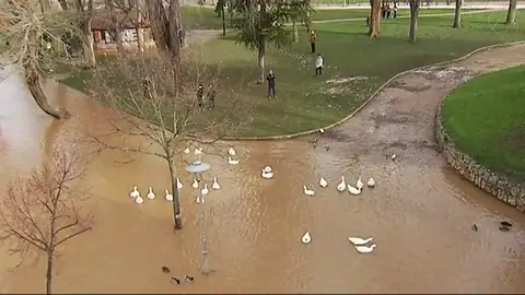 El río Pisuerga baja su caudal a los 1.090 metros cúbicos por segundo a su paso por Valladolid El río Pisuerga baja su caudal a los 1.090 metros cúbicos por segundo a su paso por Valladolid