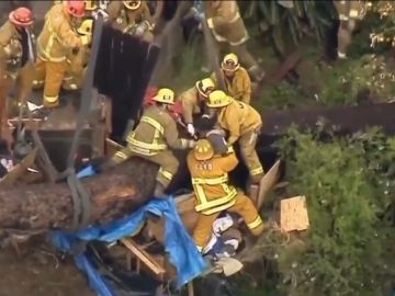 El hombre atrapado bajo el árbol 