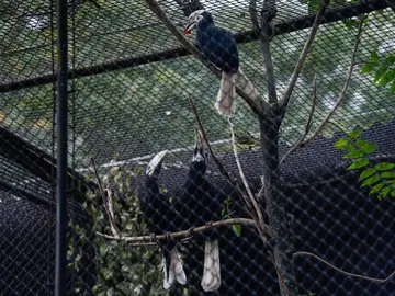 Más de 22.000 personas compran un zoo en Francia para dejar a sus más de 500 animales en libertad Más de 22.000 personas compran un zoo en Francia para dejar a sus más de 500 animales en libertad