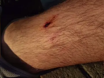 Un vigilante del Metro de Barcelona sufre una agresión durante la apertura de la estación de Paral·lel Un vigilante del Metro de Barcelona sufre una agresión durante la apertura de la estación de Paral·lel