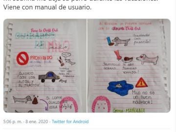 Manual de cuidados de Milo