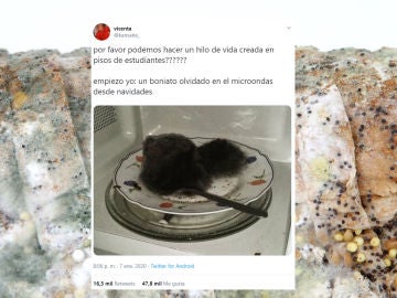 Hilo de Twitter sobre estudiantes universitarios Hilo de Twitter sobre estudiantes universitarios