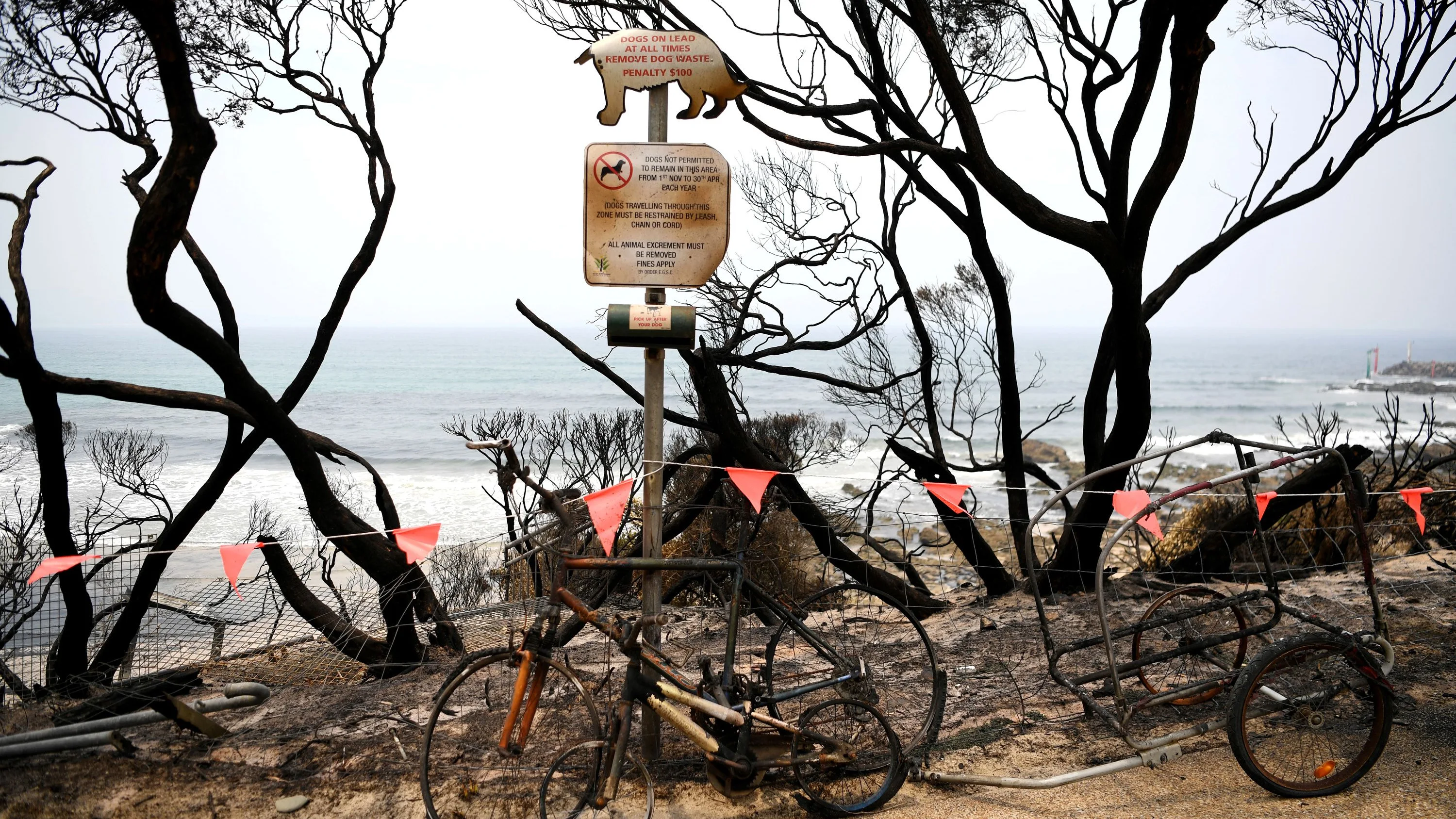 Australia declara en "estado de desastre" la ciudad de Victoria por primera vez en su historia debido a los incendios