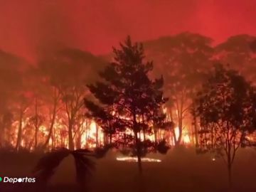 El mundo del deporte se moviliza para luchar contra los incendios que asolan Australia