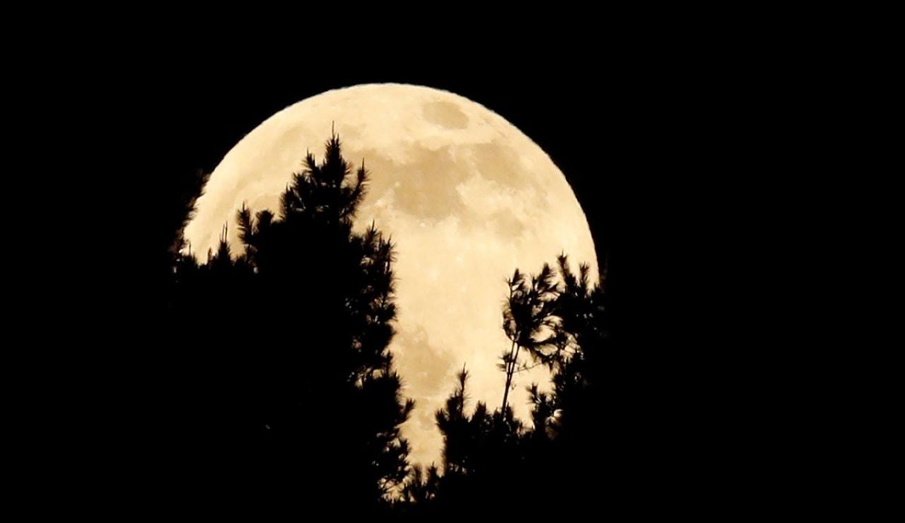 La luna se esconde tras los árboles durante el eclipse penumbral