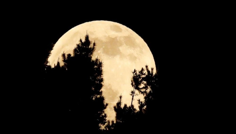 La luna se esconde tras los árboles durante el eclipse penumbral