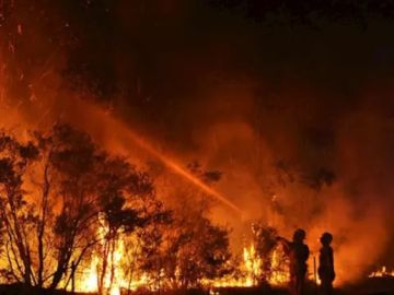 Imagen de los incendios forestales en Australia.