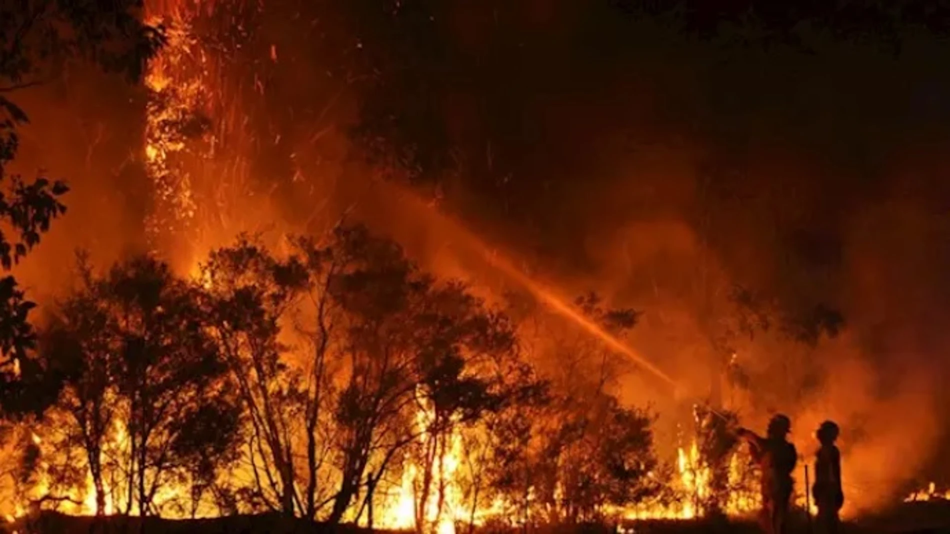 Imagen de los incendios forestales en Australia. Imagen de los incendios forestales en Australia.