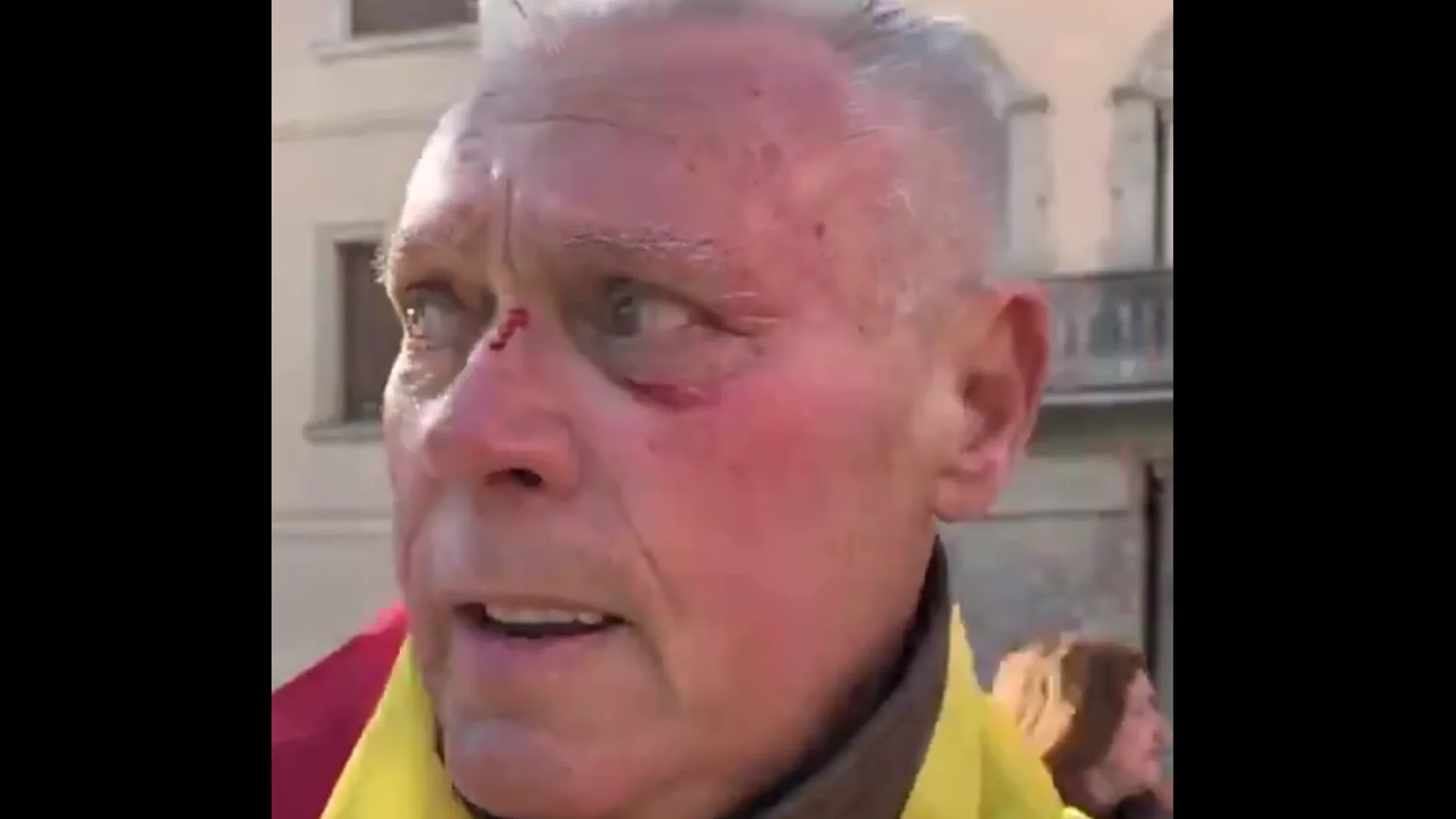 Agredido en la manifestación de Vox en Cornellà Agredido en la manifestación de Vox en Cornellà