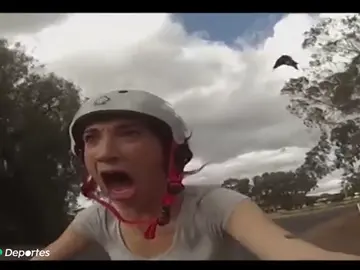 Los continuos ataques de urracas a ciclistas se han cobrado la vida de un hombre de 76 años Los continuos ataques de urracas a ciclistas se han cobrado la vida de un hombre de 76 años