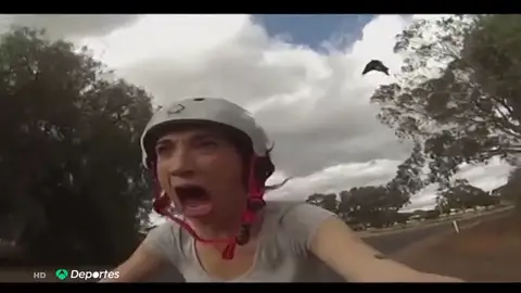 Los continuos ataques de urracas a ciclistas se han cobrado la vida de un hombre de 76 años Los continuos ataques de urracas a ciclistas se han cobrado la vida de un hombre de 76 años