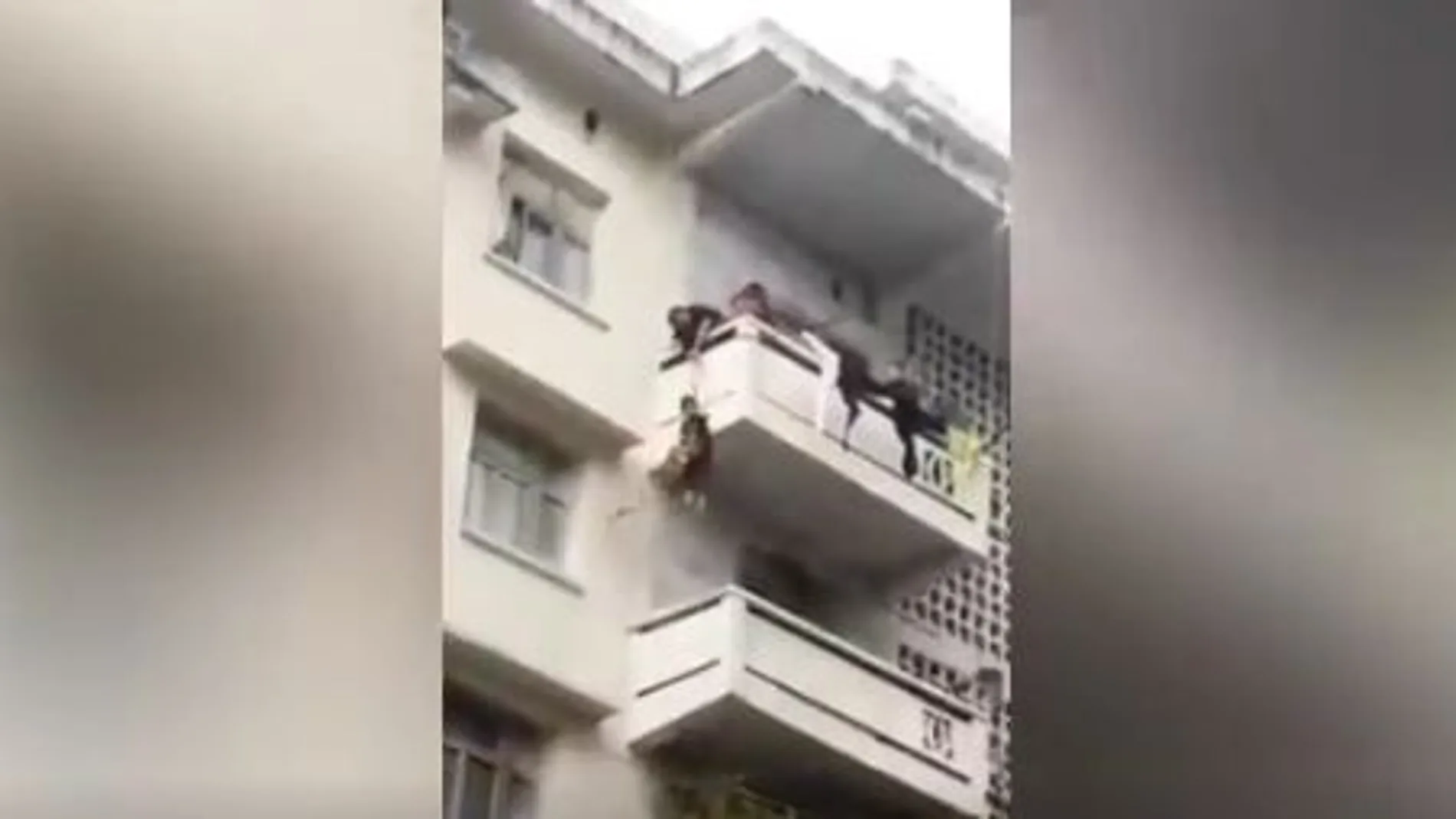 Rescate gato Rescate gato