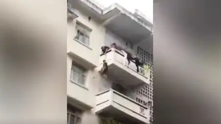 Rescate gato Rescate gato