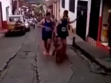 Lluvia de criticas a un atleta que golpeó a un perro callejero Lluvia de criticas a un atleta que golpeó a un perro callejero