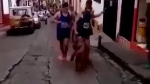 Lluvia de criticas a un atleta que golpeó a un perro callejero Lluvia de criticas a un atleta que golpeó a un perro callejero