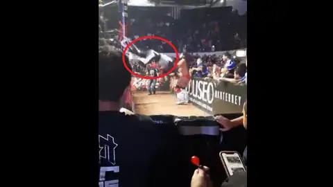 Muere la Parka Muere la Parka