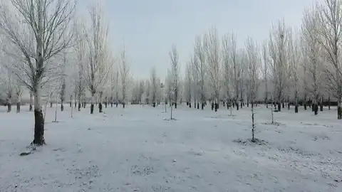 Imágenes a vista de dron de una espectacular cencellada que ha cubierto los alrededores de Salamanca Imágenes a vista de dron de una espectacular cencellada que ha cubierto los alrededores de Salamanca