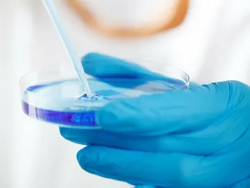 Un 5% de tumores de vejiga en Europa son atribuibles a la exposición de químicos en agua potable Un 5% de tumores de vejiga en Europa son atribuibles a la exposición de químicos en agua potable
