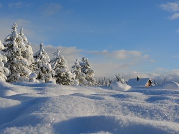 Día Mundial de la Nieve 2020