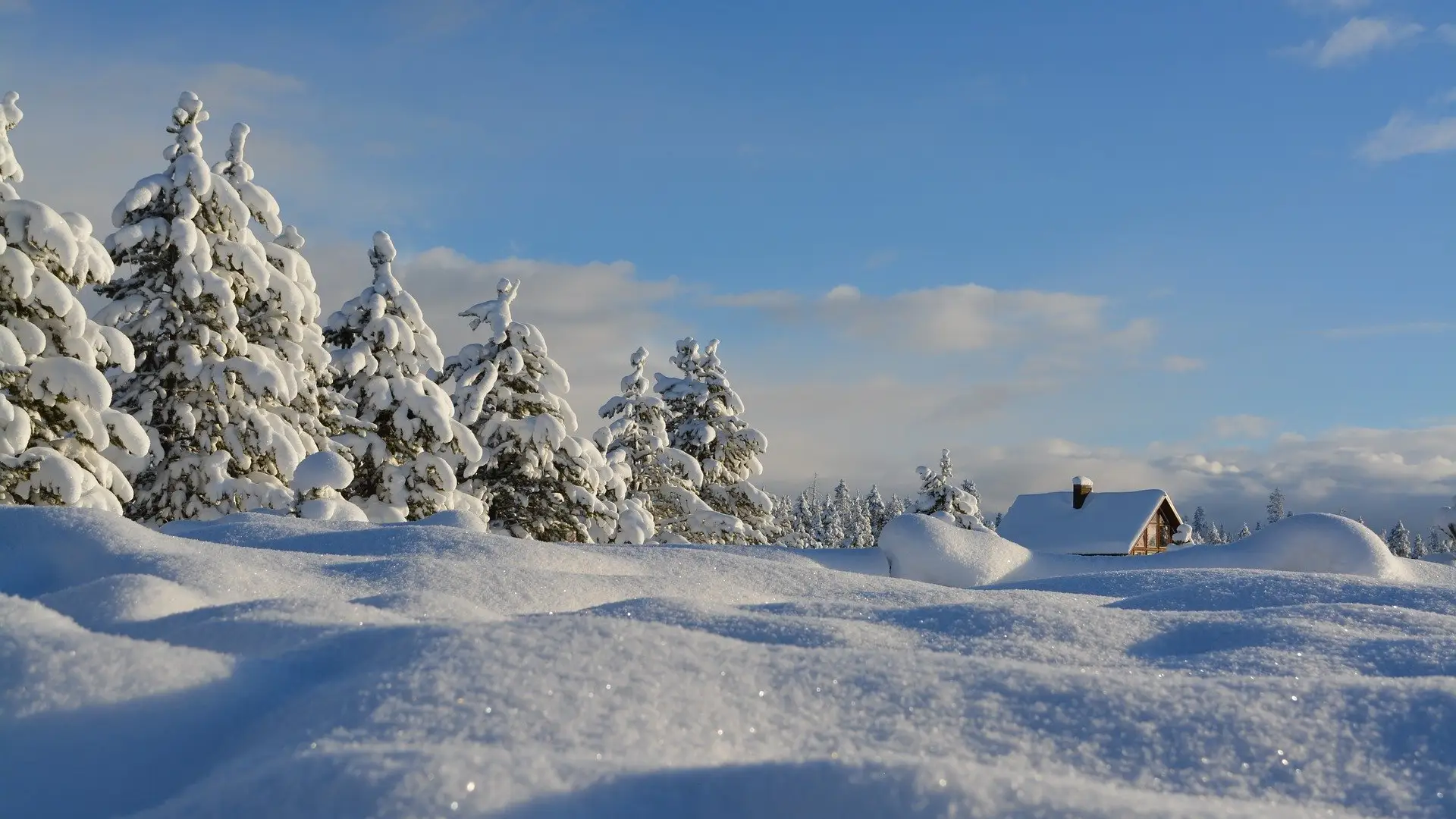 D&iacute;a Mundial de la Nieve 2020