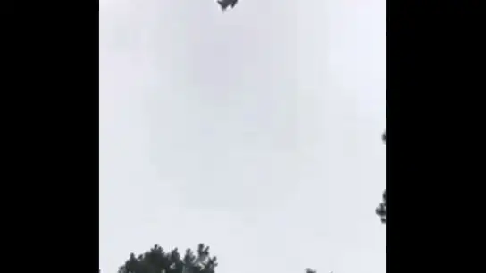Lanzan un cerdo desde un helic&oacute;ptero a una piscina