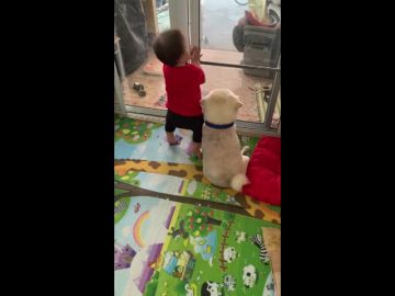 El adorable vídeo de un niño pequeño abrazando a su perro mientras miran por la ventana El adorable vídeo de un niño pequeño abrazando a su perro mientras miran por la ventana