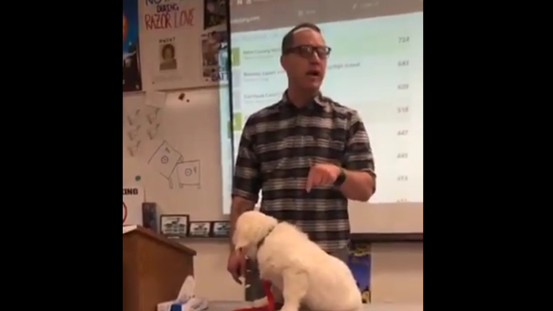 Profesor Estados Unidos Profesor Estados Unidos