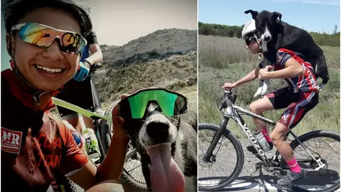 Tres ciclistas salvan la vida de un perro Tres ciclistas salvan la vida de un perro
