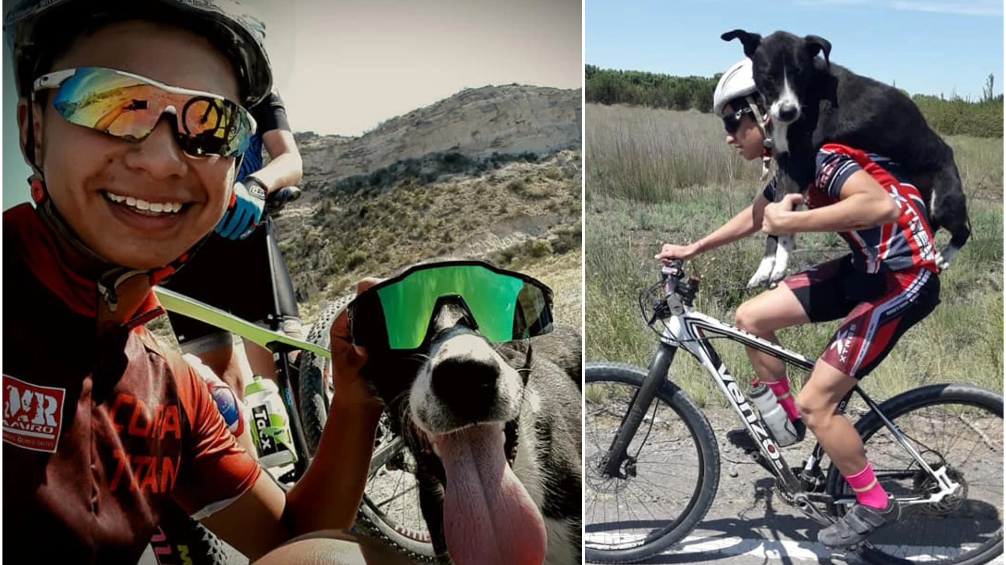 Tres ciclistas salvan la vida de un perro Tres ciclistas salvan la vida de un perro