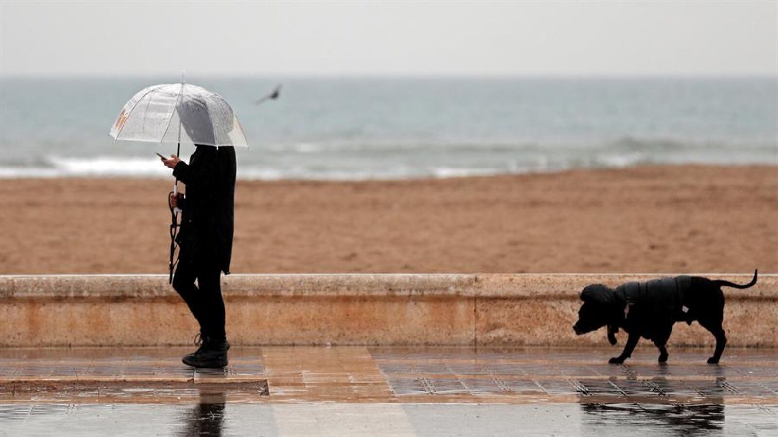 Las fuertes rachas de viento, la nieve y la lluvia ponen en alerta roja a la Comunidad Valenciana y Baleares