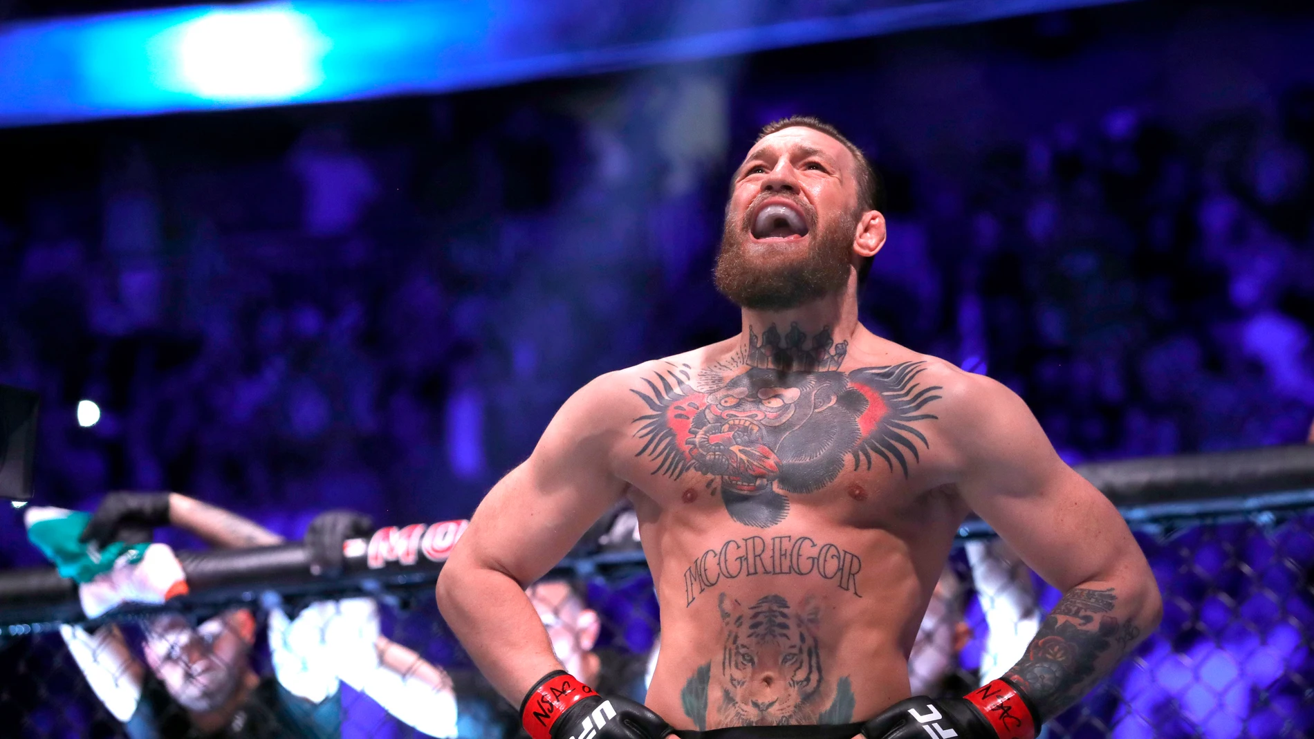 Conor McGregor, en su regreso a la UFC Conor McGregor, en su regreso a la UFC