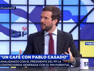 El líder del PP, Pablo Casado. El líder del PP, Pablo Casado.