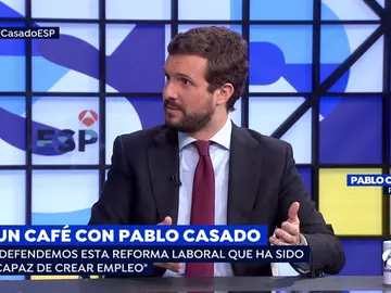 Líder del PP, Pablo Casado. Líder del PP, Pablo Casado.