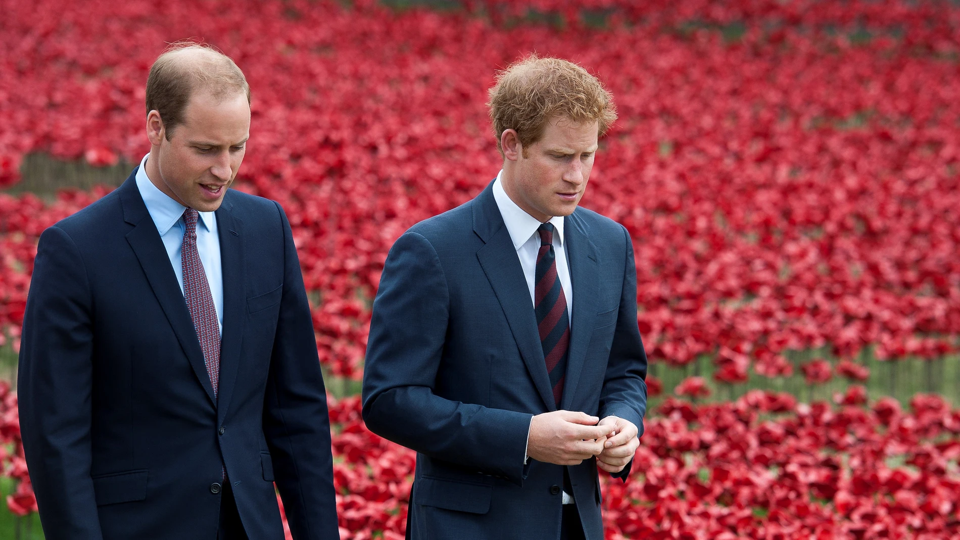 William y Harry se reconcilian tras el anuncio de que los Duques de Sussex rompen lazos con la monarquía británica