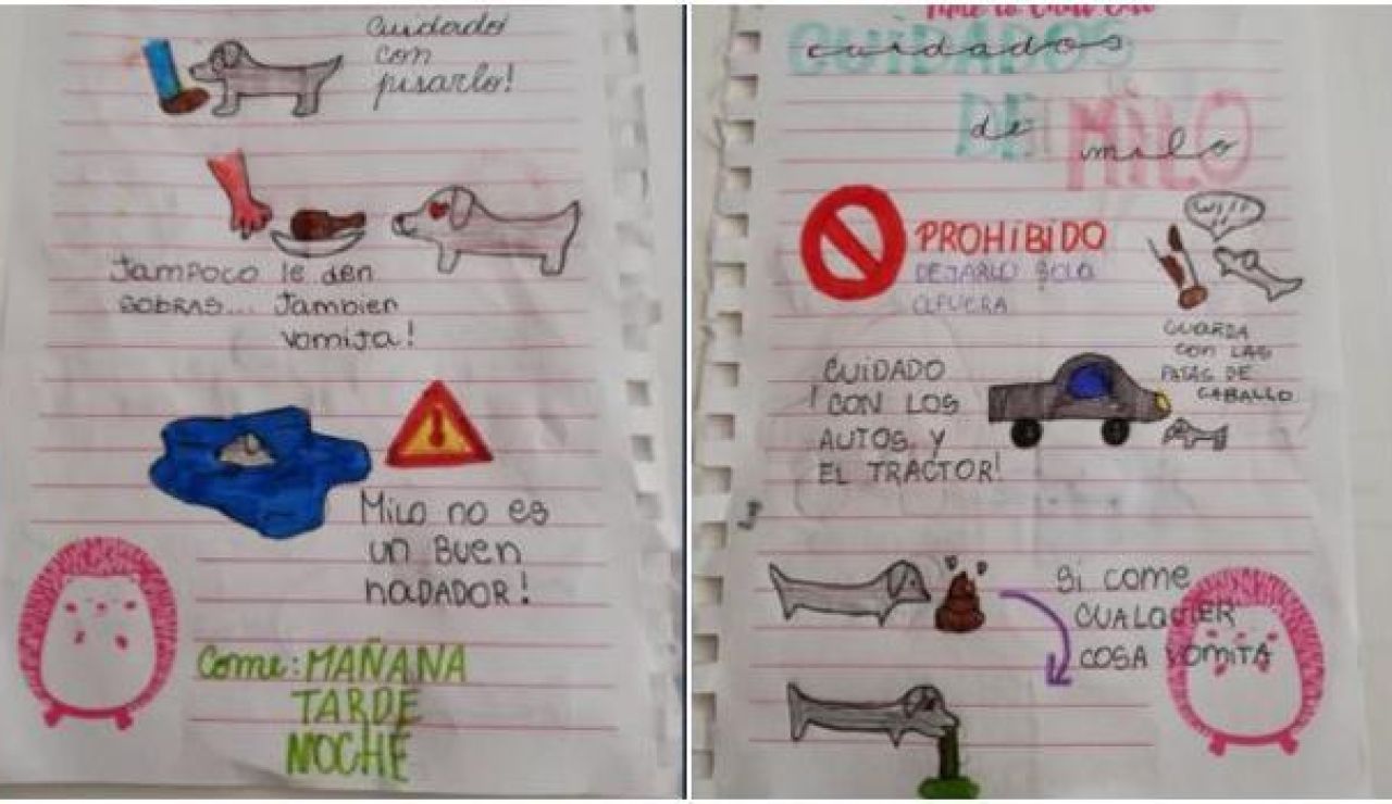 El divertido manual de instrucciones que una niña deja a su tía para que cuide de su perro en vacaciones