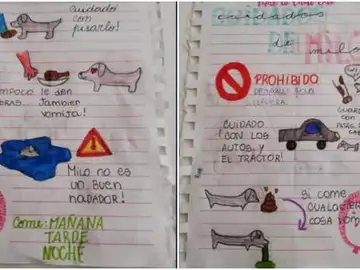 El divertido manual de instrucciones que una niña deja a su tía para que cuide de su perro en vacaciones El divertido manual de instrucciones que una niña deja a su tía para que cuide de su perro en vacaciones