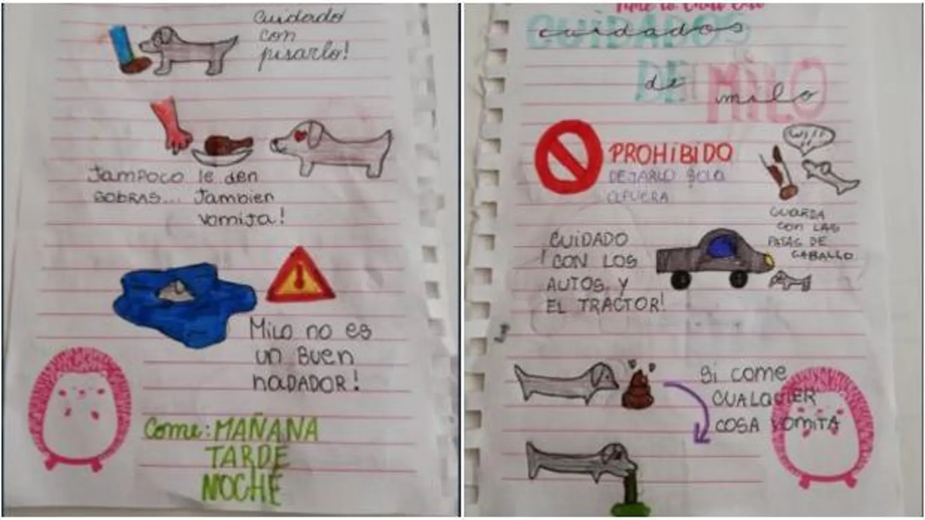 El divertido manual de instrucciones que una niña deja a su tía para que cuide de su perro en vacaciones El divertido manual de instrucciones que una niña deja a su tía para que cuide de su perro en vacaciones