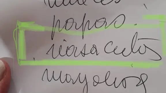 Lista de la compra ilegible Twitter